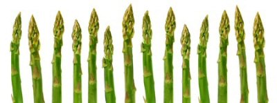 A row of asparagus spears (referring to the historic 'Asparagus Lunches' of non-conformist ministers).