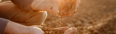 Earth Day: In Touch with the Soil - 21/4/24